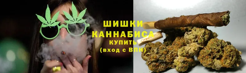 где купить наркоту  Богородицк  Канабис Amnesia 